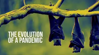 The evolution of a pandemic: incontro con David Quammen