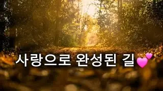 찬양모음                                                             💞예수님, 사랑이 흐르는 순간  HeaLight Worship🎶