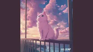 windy day