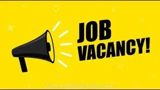 Netsuite Job Openings
