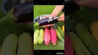 Stainless Steel Multi-function Vegetable Peeler