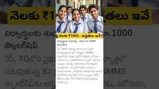 Student NMMS Scholarship 2024