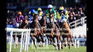 Jessie Harrington on Jezki's World Hurdle win