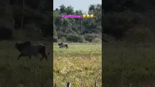 😂😂😂😂
