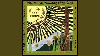 Musical Instruments of the World
