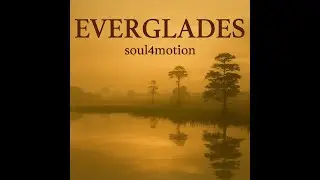 Everglades &ndash; soul4motion | cinematic lo-fi rap lullaby (emotional nature escape)