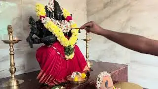 Sri Rajashyamala Navaratri Pooja 