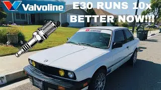 EASY tune up for your 1984 bmw e30 m10