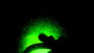 Ca&ccedil;a noturna,,,MartinsPescaSub
