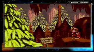 Donkey Kong Country bananas in the hoard gba