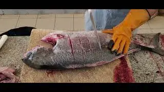 Fish Cut|| Cut Fish|| Large Fish Cut & Chip|| Seafood Fish Cut Skills in Oman
