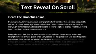 CSS Only Scroll Animation | Text Reveal Effect on Scroll | No JavaScript Needed!