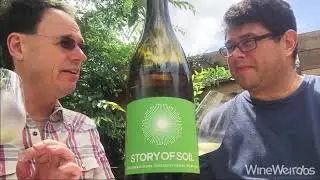2020 Story of Soil Gruner Veltliner Fiddlestix Vineyard Sta. Rita Hills  California White Wine