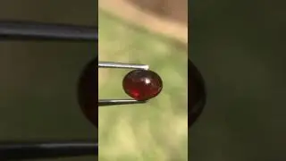 2.02 Carat Fabulous Natural Hessonite Garnet Oval Shape Cabochon Cut Gemstones