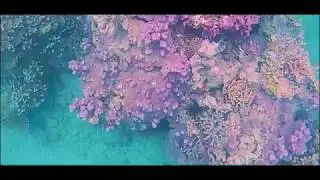 Snorkelling at Abang Island, Indonesia