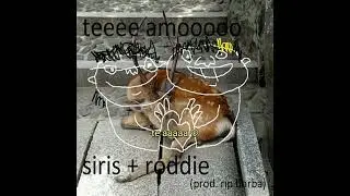 te amo