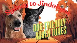 Dog-friendly Sydney to Jindabyne road trip | best stops on the inland route