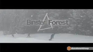 Binster - Forest (LaTania Video) Widescreen Edition