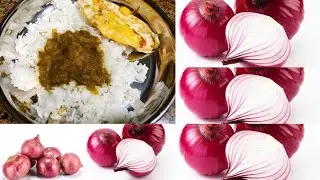 Ulli Ozhichu Curry  // Simple Onion gravy //