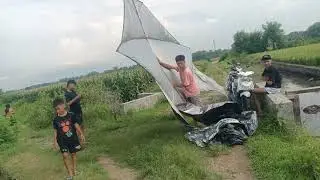 layangan lele bige size 4meter