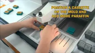 Casting Paraffin Blocks with T-Sue&trade; MicroArray Molds