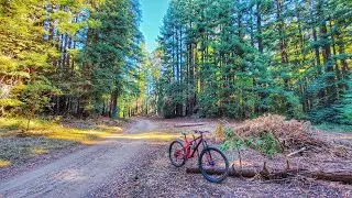 UCSC Mailboxes - Santa Cruz, CA #mtb