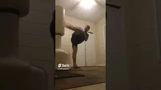 Roundhouse kick spinning side kick 🦵combo example #shorts #mma #martialarts