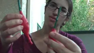 Wood Carrot Craft