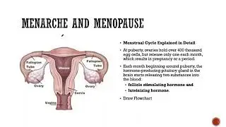 10. Stages of growth - Adolescence - Menarche and Menopause