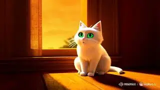 Cat air video #cat #airvideo #foryou #anime #friends