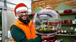 A Natale vi aspettiamo fino al 24 dicembre da Sassi Garden