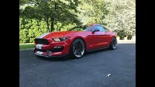 Shelby GT350 | BMR Lowering Springs | The Perfect Combo