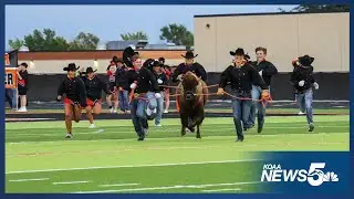 Meet Thunder: Colorado School's Live Bison Mascot Building Incredible School Pride