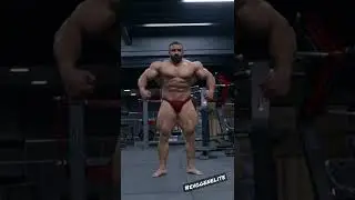 An Update From the Persian Wolf Hadi Choopan