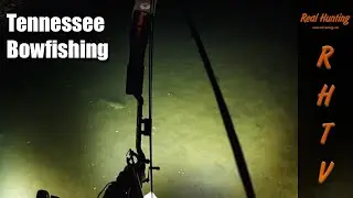 Tennessee Bowfishing