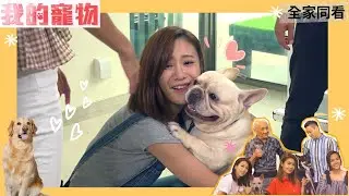 妳不准抱別的狗！！朱智賢的愛犬超會呷醋！ | 我的寵物 | 姚子羚、陳庭欣、崔建邦、鄧卓殷、李家鼎 | TVB 親子節目 | 寵物節目