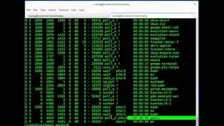 Linux Tips: Process Management Made Simple