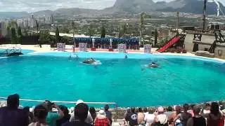Mundomar Dolphin Show June 2013 Benidorm Spain