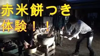 一日密着！！和ごころ農園さん赤米餅つき編⑧
