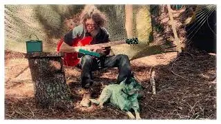 Barking Dog - Heat Of The Sun (Official Music Video)