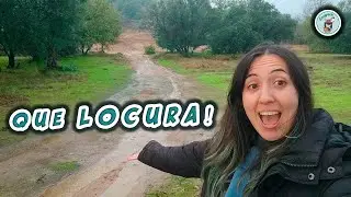 MANANTIALES como R&Iacute;OS y PARASOLES en la FINCA! 🍄🌊
