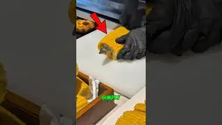 I could watch this on a loop all day 😍