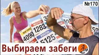 Долгосрочное планирование. Выбираем старты - основные и промежуточные