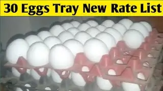 30 eggs tray today new rate list