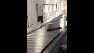 Small Parcel Sortation for Boxes and Poly Bags