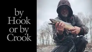 Tiger or Brook trout? Winter fly fishing #fishing #flytying #trout #sinktip #galloup #zoocougar