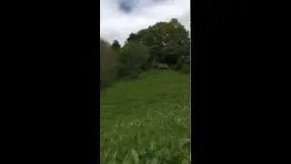 Weed wiping dock #shorts #weedwiping #meadows