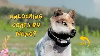 Letting pups be my mate's responsibility to see if I can unlock new coats | WolfQuest AE