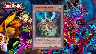 The Solution to Droll and Lock Bird (In Gold Pride PUNK) | Yugioh TCG