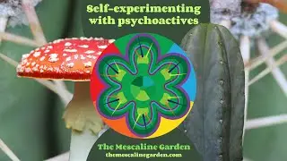 Psychoactive Self-Experimentation: Consuming drugs for science